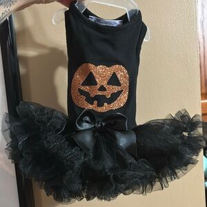 New never worn extra small dog dress